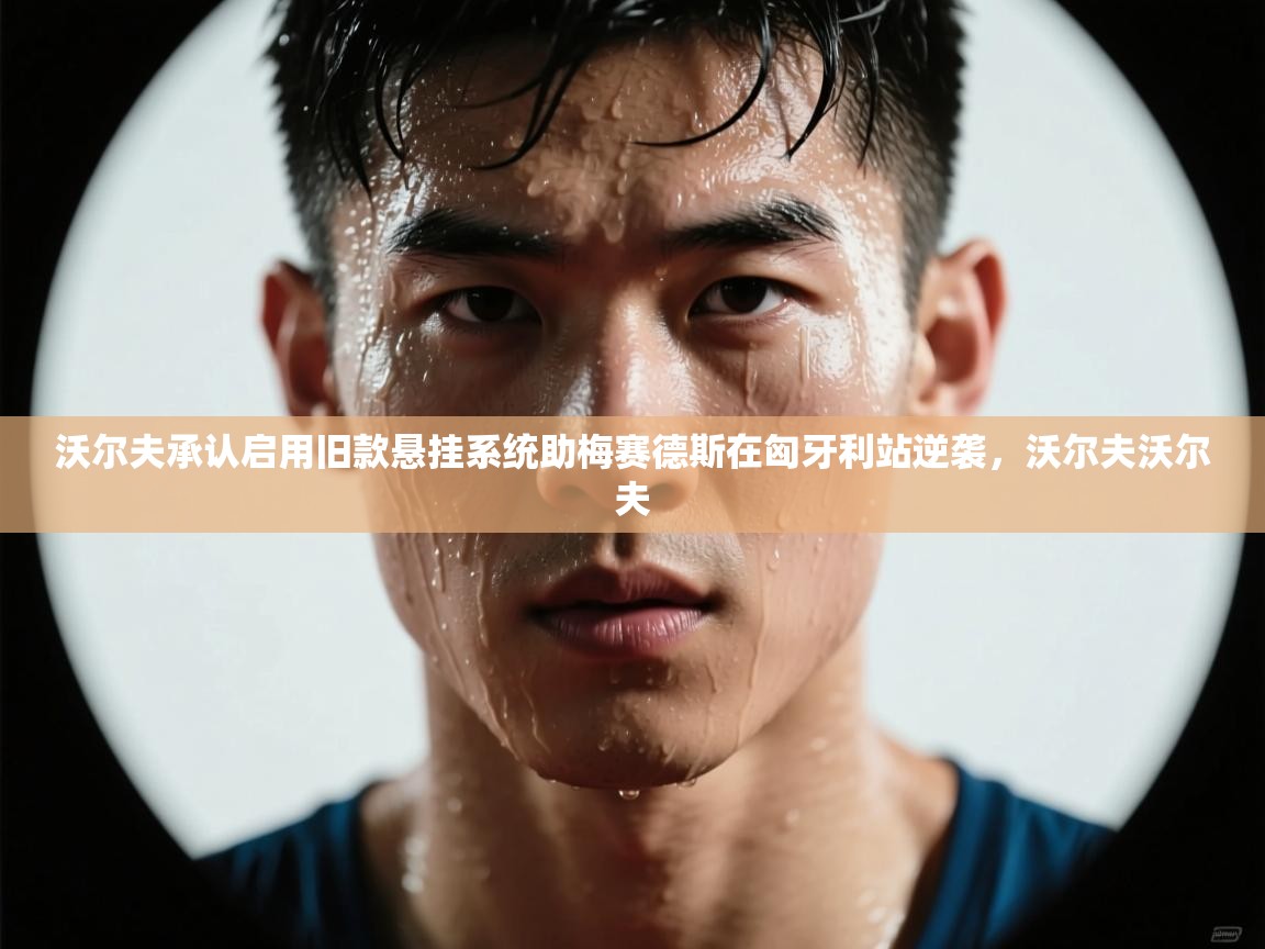 开云体育会员VIP开通-沃尔夫承认启用旧款悬挂系统助梅赛德斯在匈牙利站逆袭,沃尔夫沃尔夫 第2张