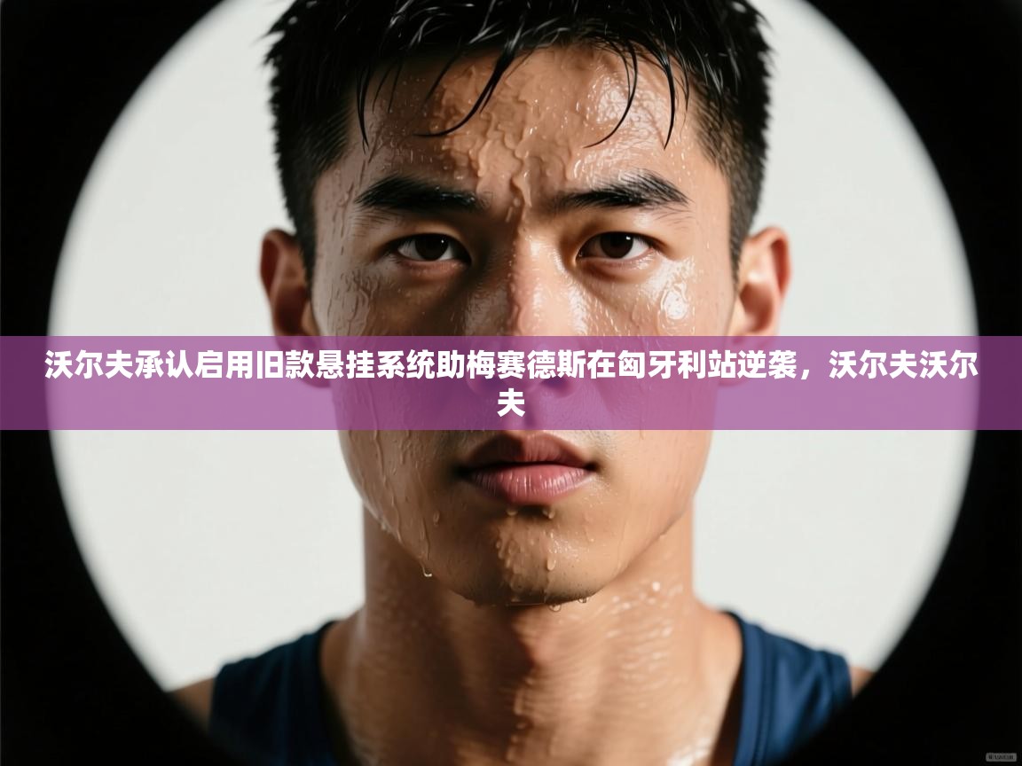 开云体育会员VIP开通-沃尔夫承认启用旧款悬挂系统助梅赛德斯在匈牙利站逆袭,沃尔夫沃尔夫 第4张