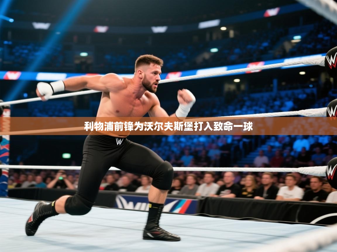 开云体育入口注册-利物浦前锋为沃尔夫斯堡打入致命一球  第2张