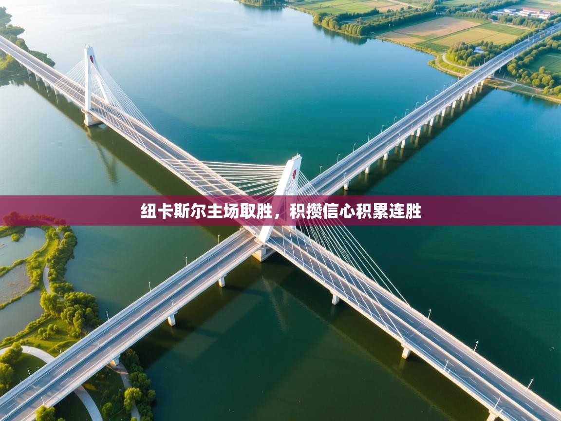 开云网页版-纽卡斯尔主场取胜，积攒信心积累连胜