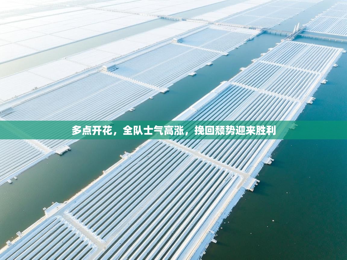 开云体育入口下载-多点开花，全队士气高涨，挽回颓势迎来胜利