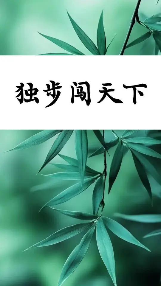 漫步强诺大，临怯，立取三街的简单介绍